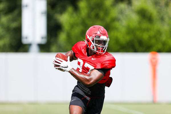 TE, Tre' Mckitty, Photo by Tony Walsh of UGA Athletics